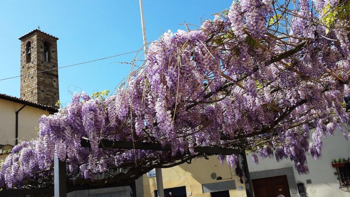 Apartamento Lovely In Florencia
